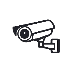 Sentinel Surveillance Systems